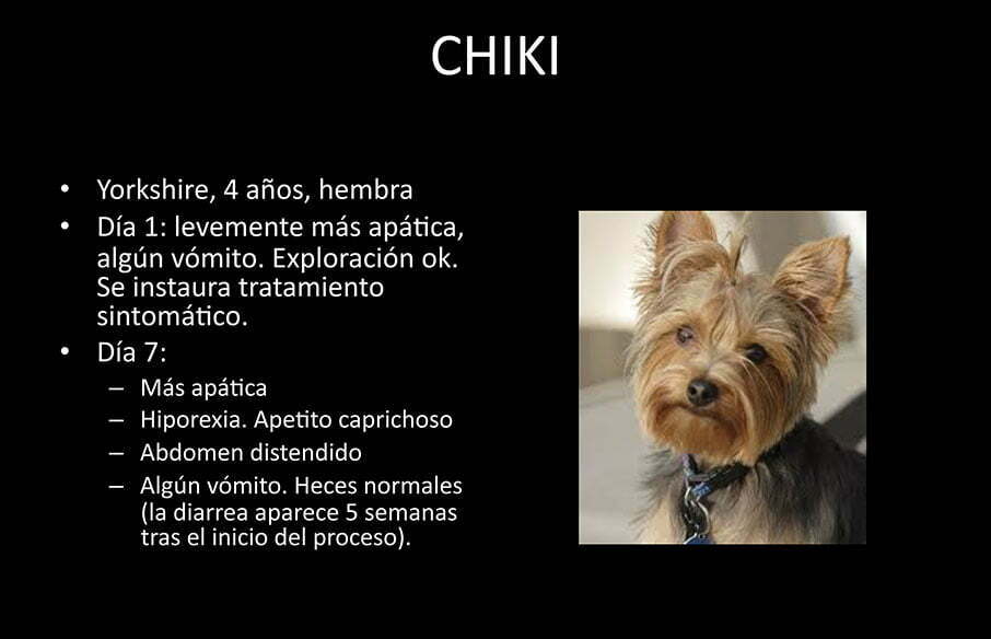 Cas clínic veterinari
